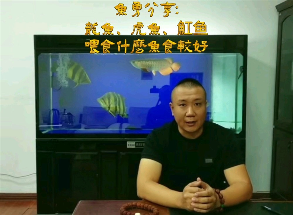 龍虎魟的魚食