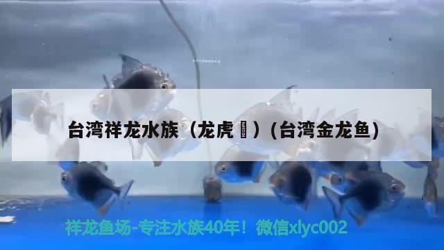 怪招虎魚