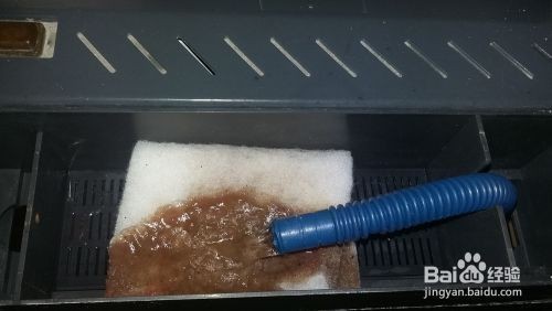 大型魚缸如何清理換水 大型魚缸如何清理換水 魚缸百科 第4張