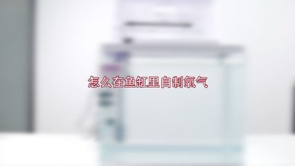打氣筒給魚缸加氧：使用打氣筒給魚缸加氧可行嗎？