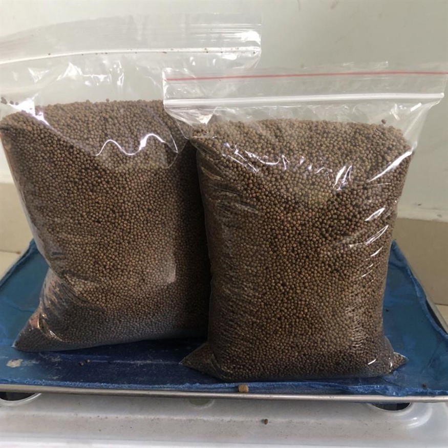 魚缸不用換水