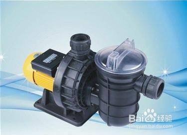 養小虎魚需要多大魚缸才能養（養小虎魚需要多大魚缸才能養活） 養小虎魚需要多大魚缸才能養（養小虎魚需要多大魚缸才能養活） 虎魚百科