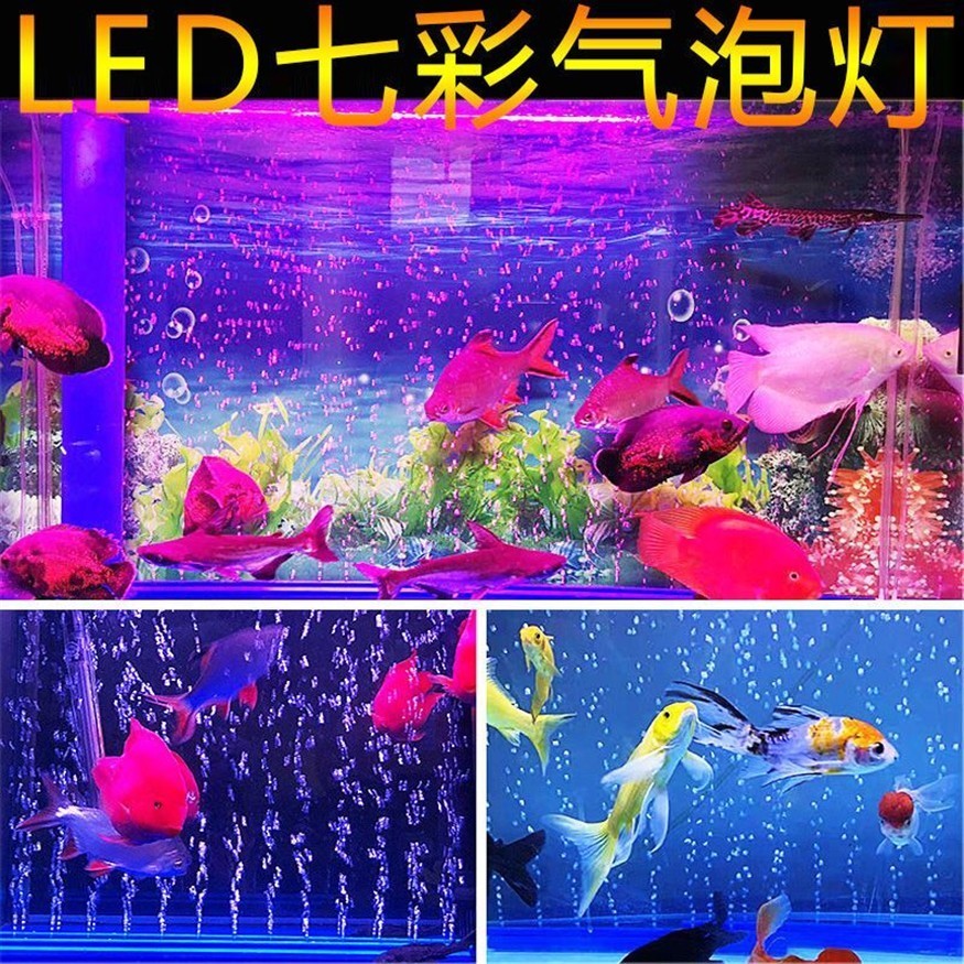 1.2米魚(yú)缸養(yǎng)多少條七彩：1.2米魚(yú)缸養(yǎng)七彩神仙魚(yú)數(shù)量的幾個(gè)關(guān)鍵信息點(diǎn)