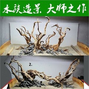 杜鵑藤魚(yú)缸造景：杜鵑根的養(yǎng)護(hù)秘籍