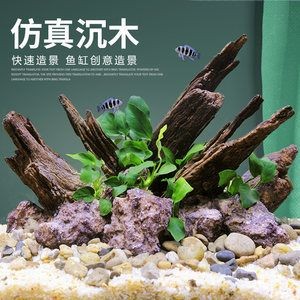 杜鵑藤魚(yú)缸造景：杜鵑根的養(yǎng)護(hù)秘籍