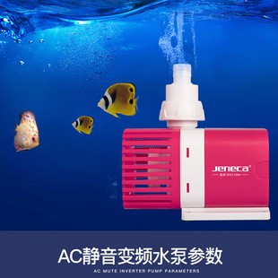 印尼紅龍魚好養嗎（養紅龍的10大禁忌）