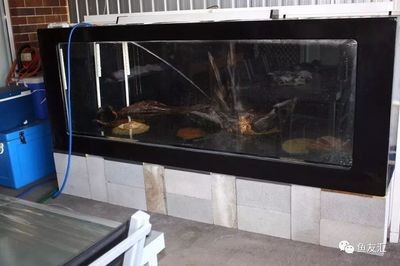 1.2米魚缸安裝視頻教程：1.2米魚缸安裝視頻教程1.2米魚缸安裝視頻教程 1.2米魚缸安裝視頻教程：1.2米魚缸安裝視頻教程1.2米魚缸安裝視頻教程 魚缸百科 第3張