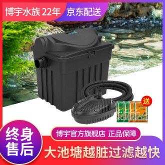 大魚缸怎樣清洗缸底部：如何清洗大魚缸缸底部
