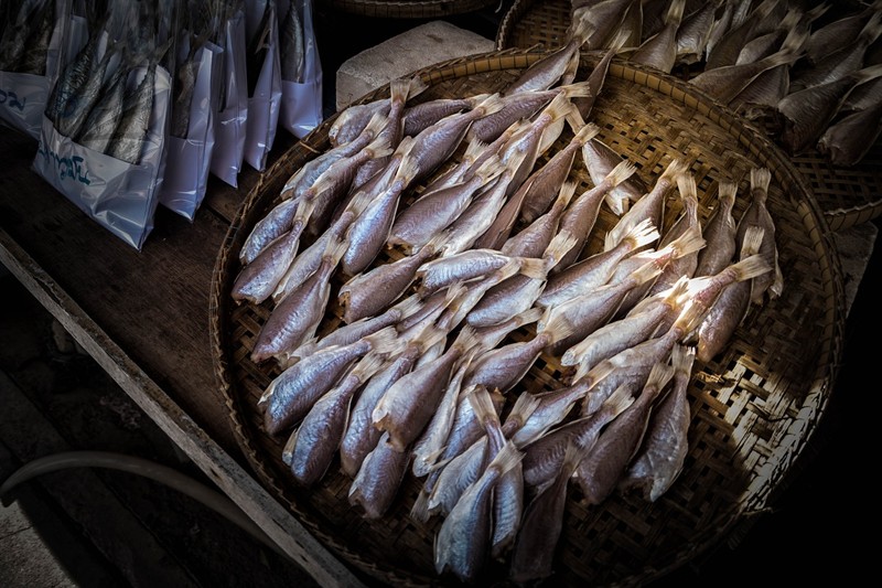 魚友們虎經(jīng)常縮鰭上鰭是不是證明狀態(tài)不好具體都有什么原因溫度現(xiàn)在28℃左右