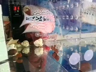 狀態剛剛的