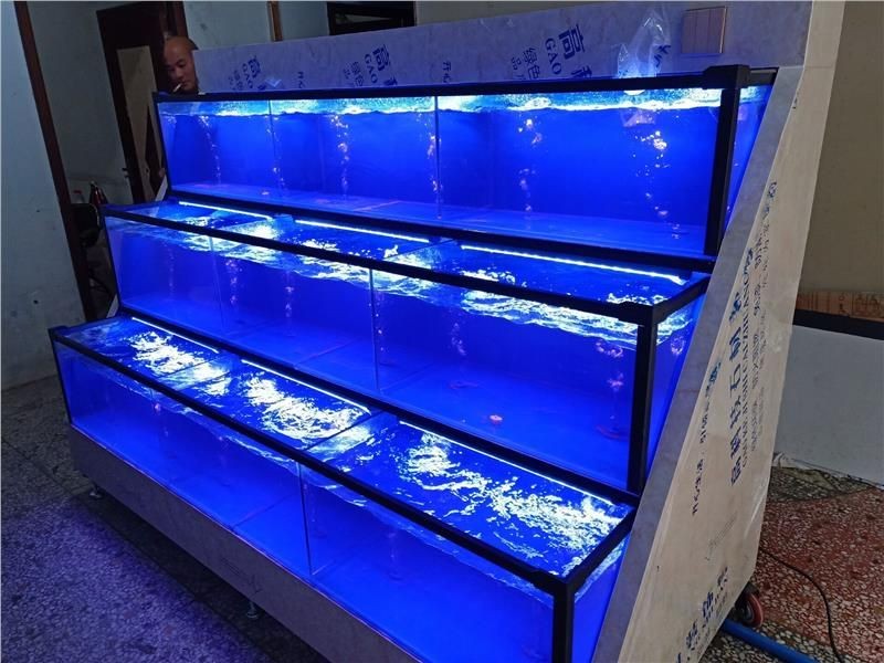 超市魚缸怎么消毒：超市魚缸怎么消毒？
