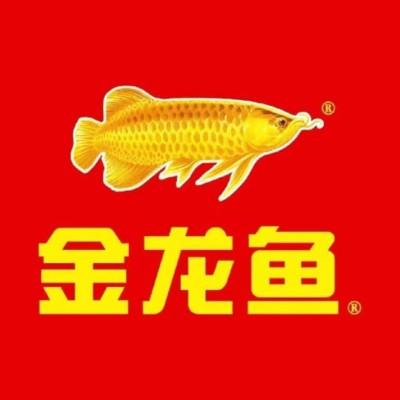紅龍魚爬缸怎么解決方法（紅龍魚爬缸怎么解決方法視頻）