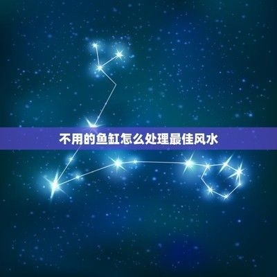 閑置魚缸如何處理不損財運？正確處置方法