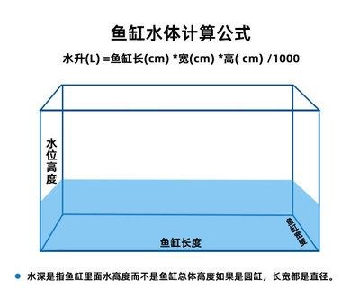 1.2米魚缸高度怎么選？最佳尺寸范圍與設計要點全