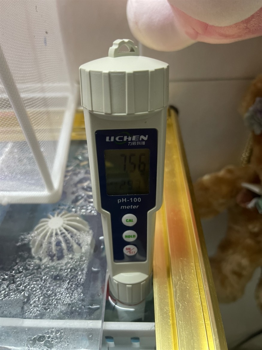 魚友求助，虎魚翅膀和眼睛長白點病因分析及防治方法詳解（30字）