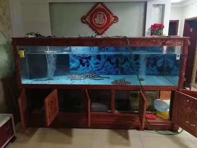 大興區魚缸銷售店鋪推薦及地址一覽