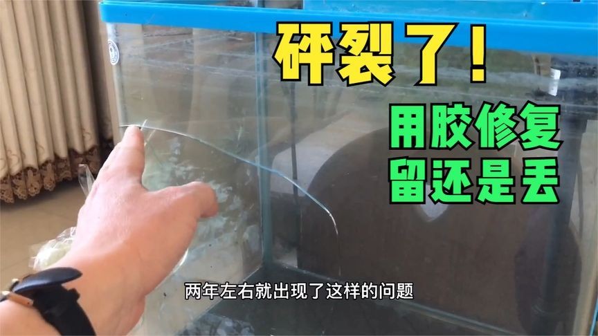玻璃魚缸裂縫修補全攻略，材料選擇與操作步驟詳解