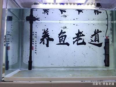 玻璃魚缸裂縫修補全攻略，材料選擇與操作步驟詳解