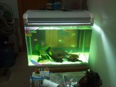 魚缸修補指南，玻璃膠適用性分析與