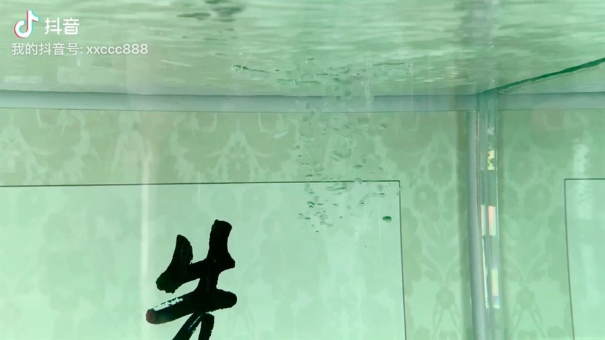 換水后氣泡頻現次日消散，水質調整背后的科學解析