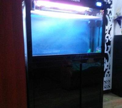 平頂山市新華區美人魚水族館地址及交通路線詳解（含定位指引）