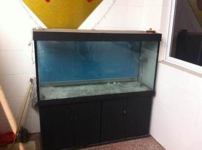 二手魚缸交易指南,個人轉讓流程及法律風險規避要點 魚缸百科 第1張 二手魚缸交易指南,個人轉讓流程及法律風險規避要點 二手魚缸交易指南,個人轉讓流程及法律風險規避要點 魚缸百科 第1張