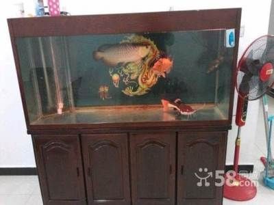 二手魚缸交易指南,個人轉讓流程及法律風險規避要點 魚缸百科 第3張 二手魚缸交易指南,個人轉讓流程及法律風險規避要點 二手魚缸交易指南,個人轉讓流程及法律風險規避要點 魚缸百科 第3張