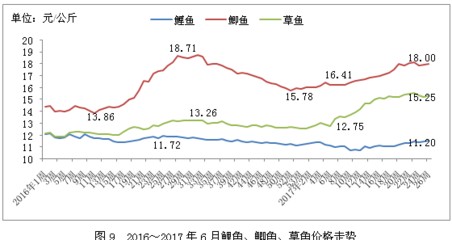龍魚最貴一條價格揭秘，圖片及詳細(xì)價格表大全