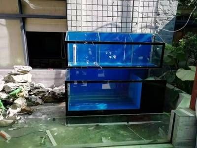 海魚缸安裝視頻，詳細步驟與注意事項 海魚缸安裝視頻，詳細步驟與注意事項 魚缸百科 第2張