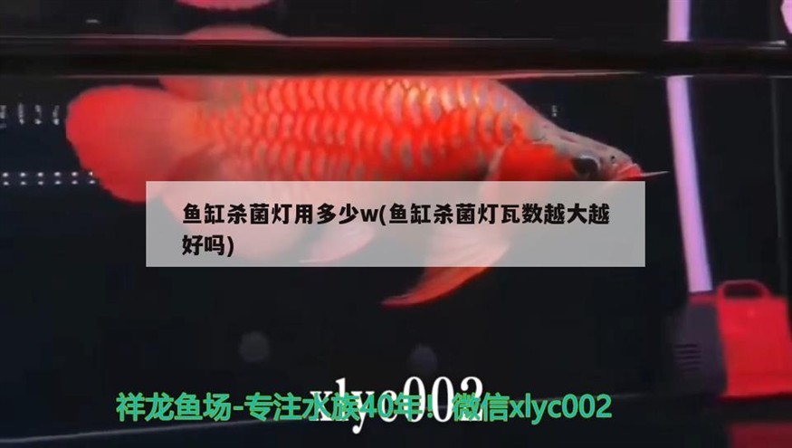 殺菌燈瓦數選多少合適？并非越大越好，需綜合