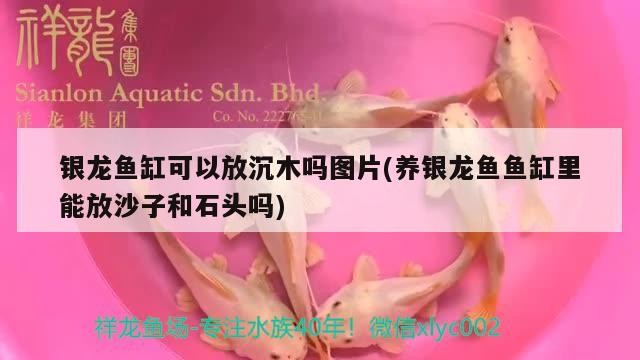 邯鄲大名縣城哪里有賣魚缸的市場邯鄲二手家具市場，大名縣城哪里有賣魚缸的地方