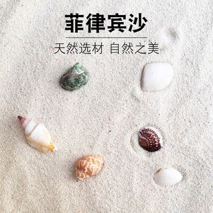 慈鯛魚缸造景攻略，必備元素與布置技巧全解析