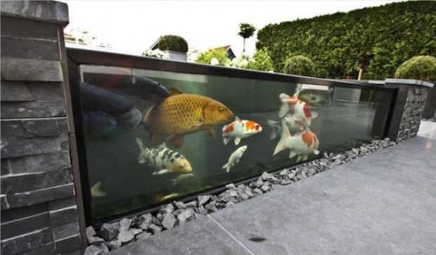 自建房圍墻嵌魚缸設計圖，墻內鑲魚缸需
