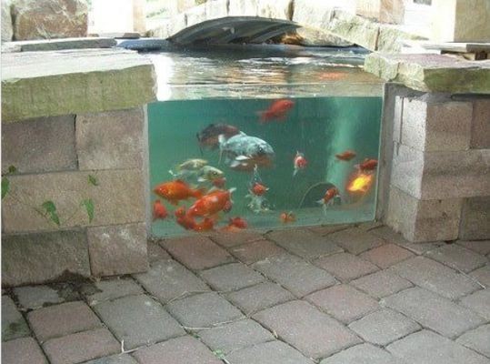 自建房圍墻嵌魚缸設計圖，墻內鑲魚缸需