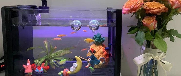 因美魚缸獲新手養(yǎng)魚愛好者好評，體驗超棒值得