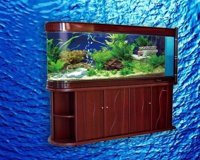 水族魚缸生產廠家位置揭秘，多渠道
