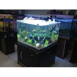 水族魚缸生產(chǎn)廠家位置揭秘，多渠道