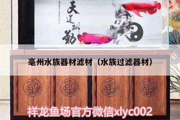 毫州<strong><mark>水族器材</mark></strong>濾材（水族過濾器材）州<strong><mark>水族器材</mark></strong>濾材，優質水族過濾器材，打造