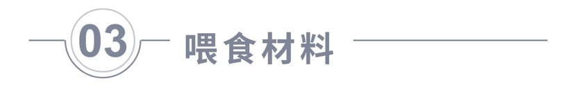 飼養(yǎng)、混養(yǎng)虎魚這五點你必須知道，飼養(yǎng)混養(yǎng)虎魚關(guān)鍵，這五點你必須要知道！ 飼養(yǎng)、混養(yǎng)虎魚這五點你必須知道，飼養(yǎng)混養(yǎng)虎魚關(guān)鍵，這五點你必須要知道！ 虎魚百科 第7張