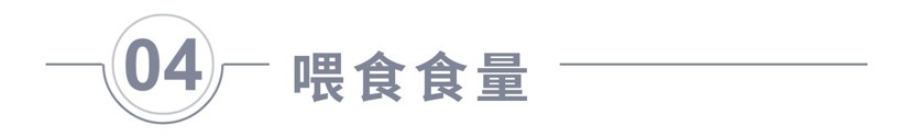 飼養(yǎng)、混養(yǎng)虎魚這五點你必須知道，飼養(yǎng)混養(yǎng)虎魚關(guān)鍵，這五點你必須要知道！ 飼養(yǎng)、混養(yǎng)虎魚這五點你必須知道，飼養(yǎng)混養(yǎng)虎魚關(guān)鍵，這五點你必須要知道！ 虎魚百科 第9張