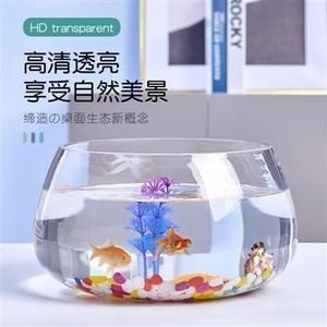 玻璃魚缸用什么膠粘的牢固:玻璃魚缸制作注意事項在制作玻璃魚缸制作注意事項,魚缸用什么膠粘牢固?制作注意事項及 魚缸百科 第4張 玻璃魚缸用什么膠粘的牢固:玻璃魚缸制作注意事項在制作玻璃魚缸制作注意事項,魚缸用什么膠粘牢固?制作注意事項及 玻璃魚缸用什么膠粘的牢固:玻璃魚缸制作注意事項在制作玻璃魚缸制作注意事項,魚缸用什么膠粘牢固?制作注意事項及 魚缸百科 第4張