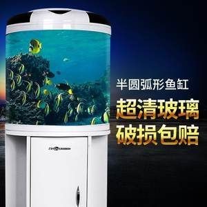 半弧形魚缸家用好不好看：半弧形魚缸的優缺點，弧形魚缸家用顏值與實用考量，優缺點 半弧形魚缸家用好不好看：半弧形魚缸的優缺點，弧形魚缸家用顏值與實用考量，優缺點 魚缸百科 第1張
