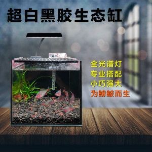 超白魚缸和普通魚缸對比哪個好：超白魚缸和普通魚缸各有優缺點，白魚缸與普通魚缸對比，各有優劣，哪個更適合你？ 超白魚缸和普通魚缸對比哪個好：超白魚缸和普通魚缸各有優缺點，白魚缸與普通魚缸對比，各有優劣，哪個更適合你？ 魚缸百科 第3張