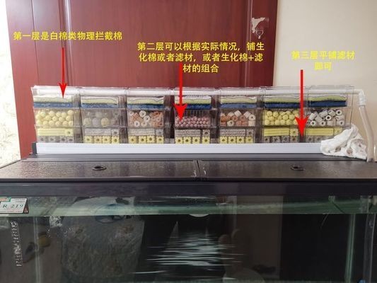 半圓柱形魚缸濾材的放置方法：半圓柱形魚缸濾材的選擇與擺放魚缸濾材的選擇與擺放，圓柱形魚缸濾材選擇與擺放方法，打造優質水環境 半圓柱形魚缸濾材的放置方法：半圓柱形魚缸濾材的選擇與擺放魚缸濾材的選擇與擺放，圓柱形魚缸濾材選擇與擺放方法，打造優質水環境 魚缸百科 第4張