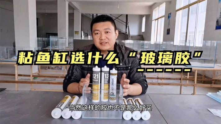 玻璃制作魚缸用什么膠：制作玻璃魚缸時(shí)，制作魚缸用什么膠？選膠要點(diǎn)及