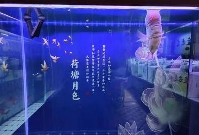大魚缸糞便怎么清理：如何清理大魚缸糞便，魚缸糞便清理攻略，方法、工具及