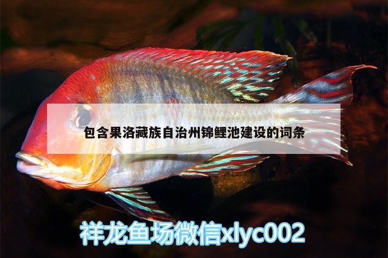 包含果洛藏族自治州錦鯉池建設的詞條，果洛藏族自治州錦鯉池建設，生態與景觀融合的
