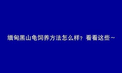 不用清理魚缸的魚叫什么龜：清潔魚缸中的垃圾和廢物，可以幫助清理魚缸中的垃圾和廢物，清理魚缸的魚叫什么龜？揭秘其清潔魚缸垃圾廢物之 不用清理魚缸的魚叫什么龜：清潔魚缸中的垃圾和廢物，可以幫助清理魚缸中的垃圾和廢物，清理魚缸的魚叫什么龜？揭秘其清潔魚缸垃圾廢物之 魚缸百科 第3張