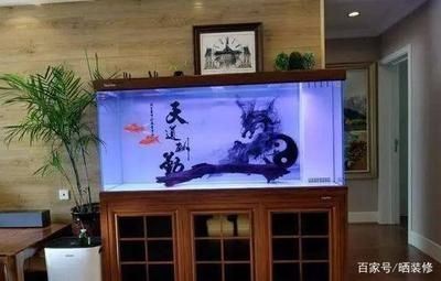 大魚缸擺放位置示意圖：大魚缸的擺放位置應該遵循以下幾個原則和注意事項，魚缸擺放位置示意圖，遵循原則與注意事項 大魚缸擺放位置示意圖：大魚缸的擺放位置應該遵循以下幾個原則和注意事項，魚缸擺放位置示意圖，遵循原則與注意事項 魚缸百科 第3張