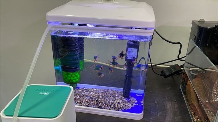半圓魚缸改造：半圓魚缸改造方案，圓魚缸改造，方案、技巧與注意事項